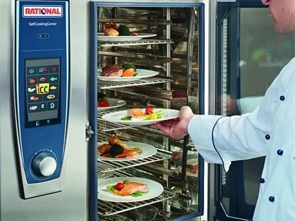 Professional Ovens