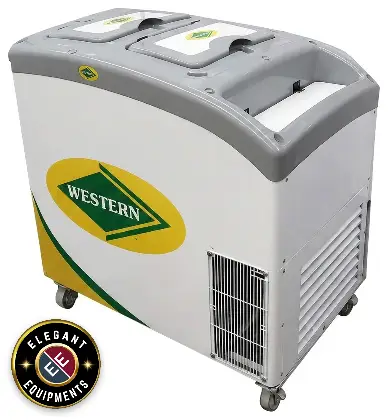 Push Cart Freezer Western G300H220